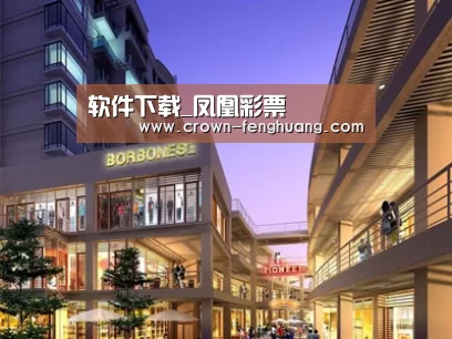 案例展示一